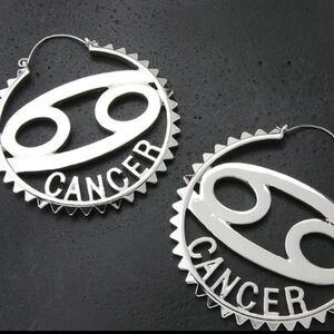 Cancer Zodiac Earrings/ Plug Hoops